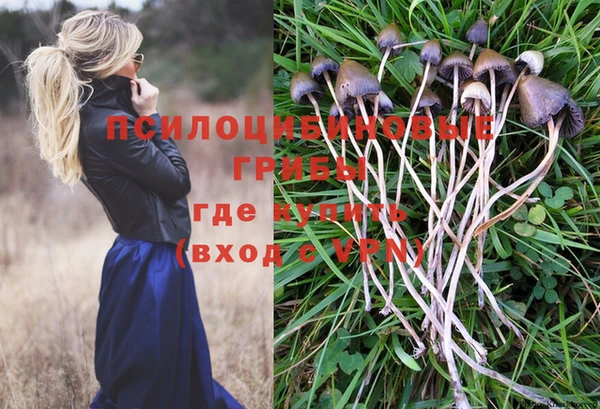 шишки Алексеевка