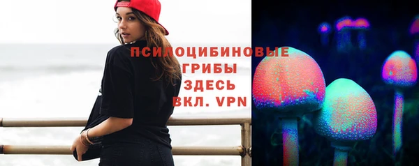 Альфа ПВП Алзамай