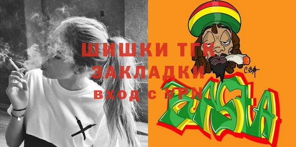 шишки Алексеевка