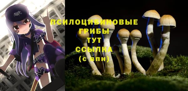 Альфа ПВП Алзамай