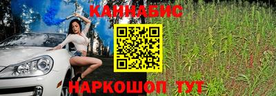mdpv Рыбинск