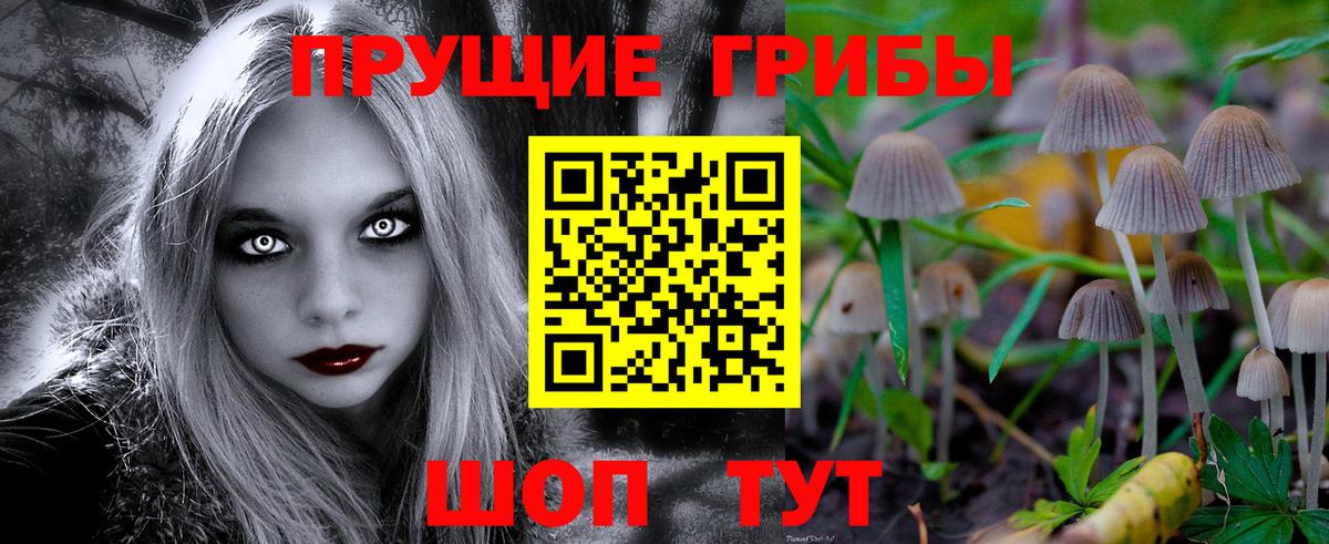 Псилоцибиновые грибы Psilocybine cubensis Сибай